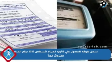 أسهل طريقة للحصول على فاتورة كهرباء أغسطس 2025 برقم العداد إلكترونيًا فوراً